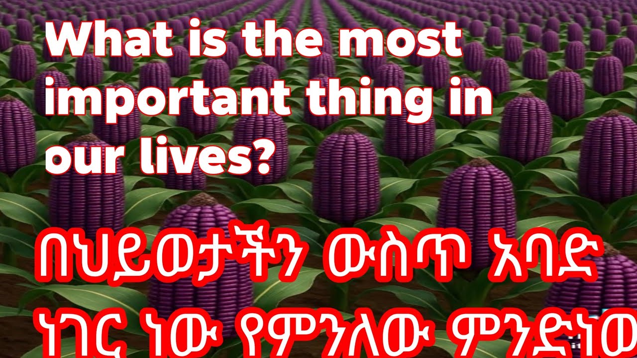 በህይወታችን ውስጥ አባድ ነገር ነው የምንለው ምንድነው