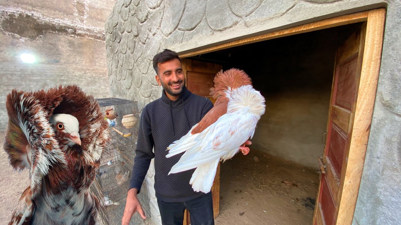 Hum Jacobin Le Aiy 😍