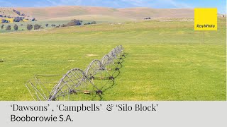 ‘Dawsons’ , ‘Campbells’  & ‘Silo Block’  Booborowie, South Australia by JR Photo & Video 538 views 3 months ago 2 minutes, 29 seconds