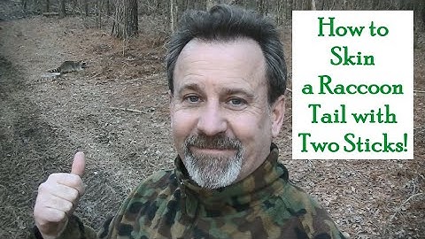 HOW TO Skin a Raccoon Tail (with a knife and two sticks)