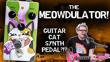 The Meowdulator: World