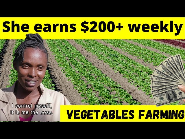 Meet Naomi, an indigenous Vegetable Kenyan Farmer | How to start vegetable farming at home class=