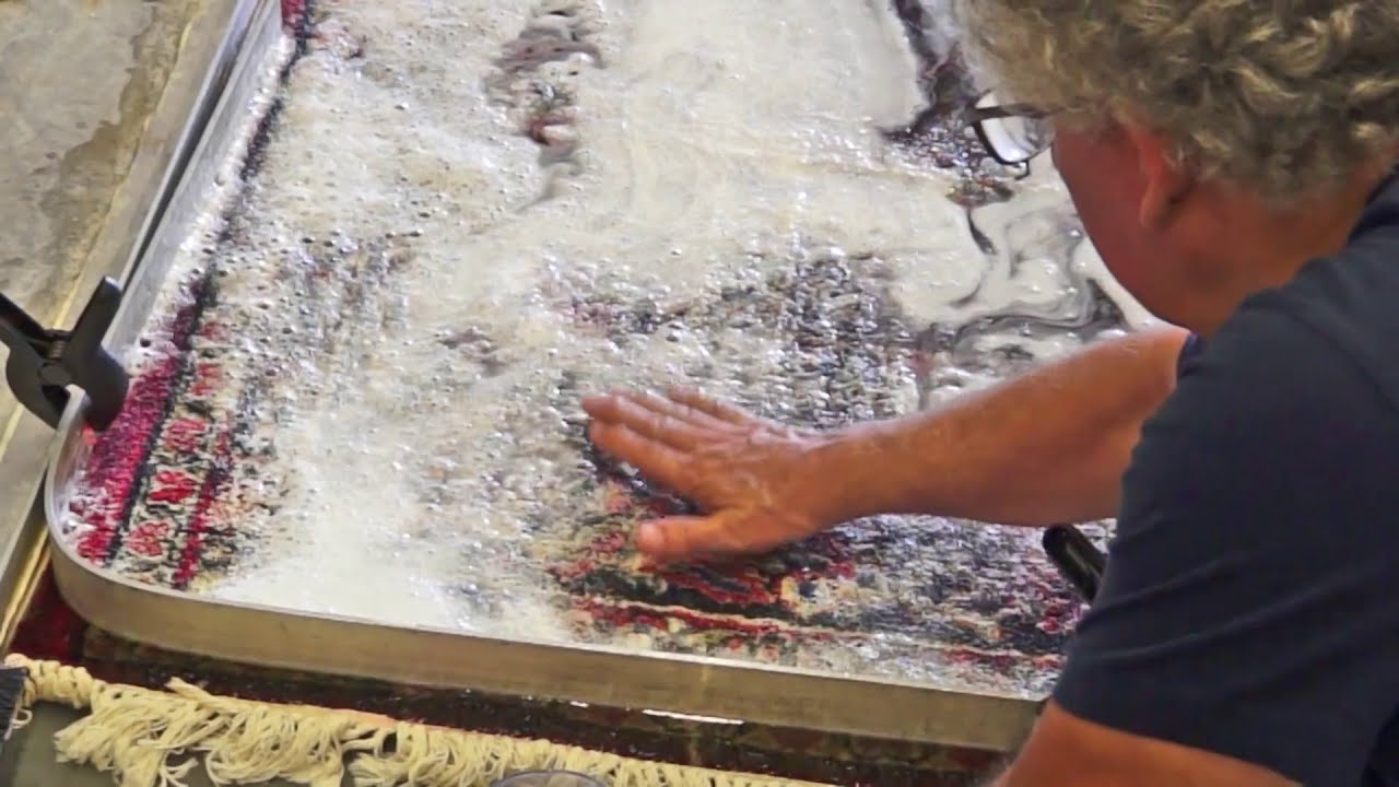 My rug needs cleaning from cat dog pee | By PetPeePee Company