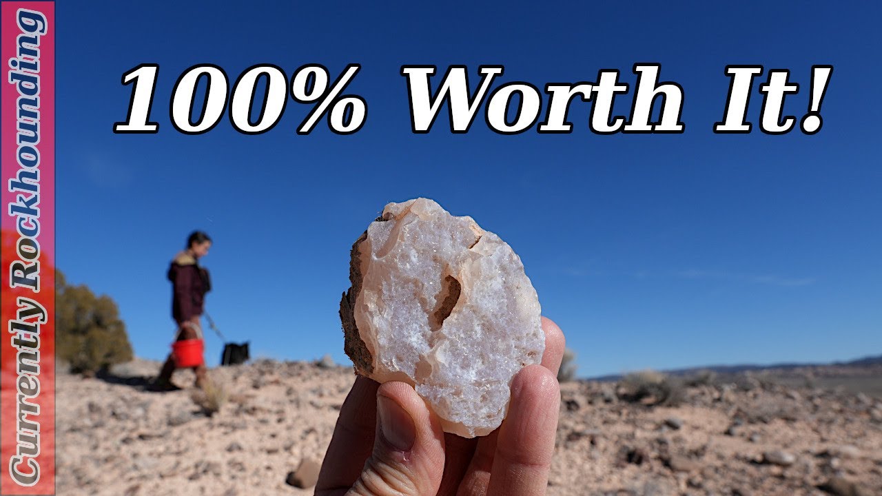 Agate Hunting In The Nevada Desert