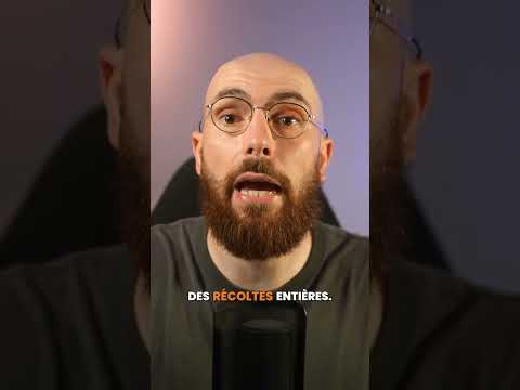Le feu peut ruiner un vin sans brûler la vigne 🔥🍷