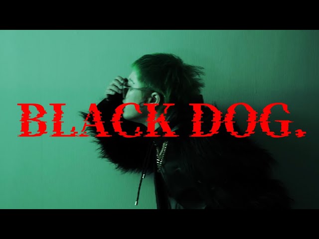 『BLACK DOG. 』Music Video