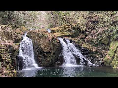 赤目四十八滝　The Akame 48 falls　(2026.3)