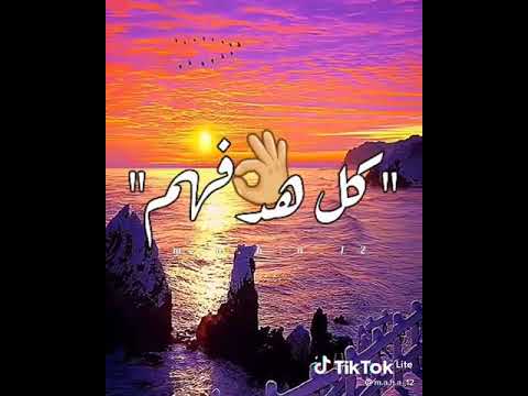 ايه يا قلبي اهدا شويه