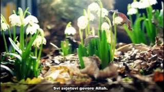 ® HOR ISA-BEG // RECIMO ALLAH ( 2017)NEW!!!