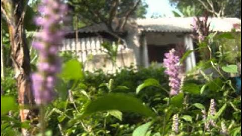 Lời chào của em, st Nghiêm Bá Hồng, bd Hồng Nhung