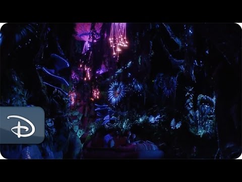 Creating Pandora – The World of Avatar as a Real Place | Disney's Animal Kingdom