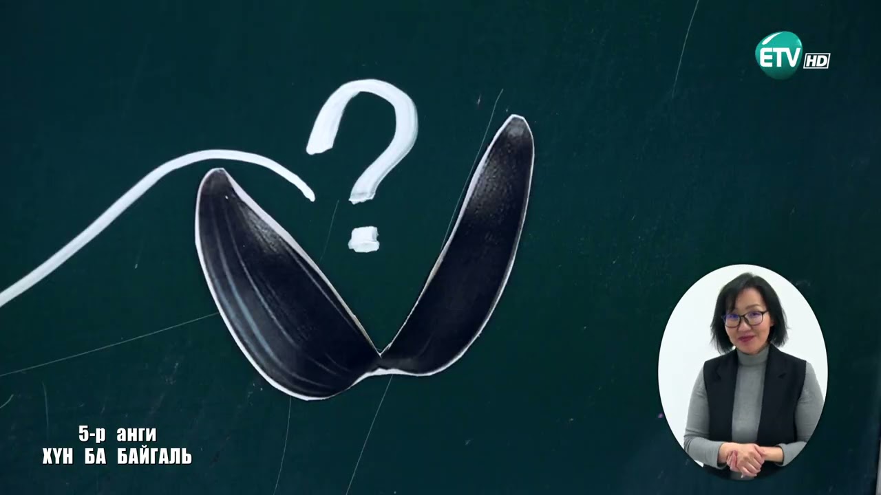 Теле хичээл 5-р анги 2021.05.07