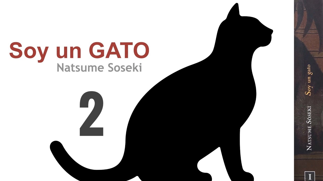 SOY UN GATO - Natsume Soseki - Lectura en vivo 2. Libros leídos en