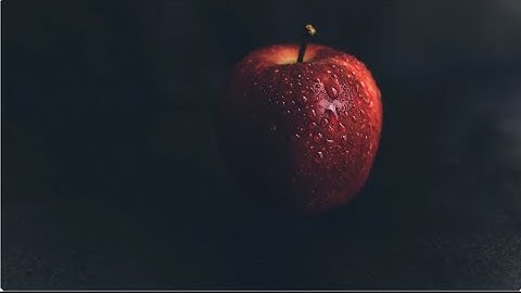 The Hidden Beauty of Everyday Life