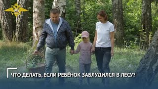 ЧТО ДЕЛАТЬ, ЕСЛИ РЕБЁНОК ЗАБЛУДИЛСЯ В ЛЕСУ?