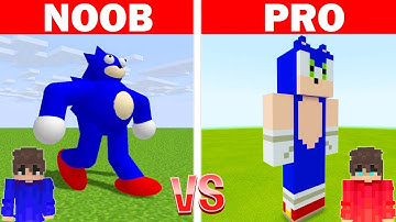 NOOB vs HACKER: I Cheated in a SONIC Build Challenge (Minecraft)