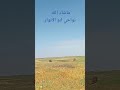 ضواحي ابو الانوار ضواحي ابو الانوار