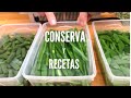 Cómo CONSERVAR las JUDIAS VERDES y 3 ideas Fáciles y Deliciosas 😋 - GUILLE RODRIGUEZ