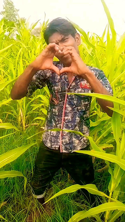humre Babu Maiya dekhe kahe gali pahle ATM Hamar Khali katile ham pyar kare chhe Bihari