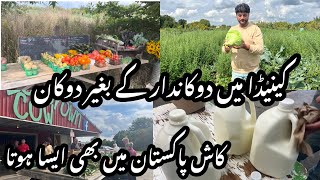 Canada Main Rah Ker Aisa Pahle Baar Dakha | Fresh Milk Farm | Shoes factory gaya