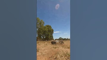 Arrma Talion EXB ripping it up #shorts #rccar #action