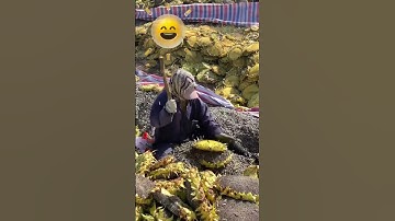 How 🌻 Sunflower seeds removed | Short Video | Tonskie TV