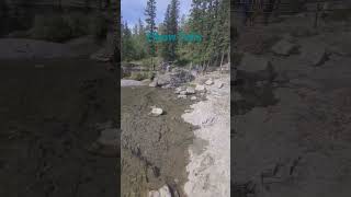 Elbow Falls In Kananaskis Country Alberta W Bernie