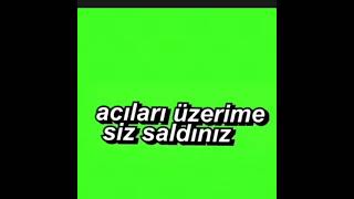 Acıları Üzerime Siz Saldınız 