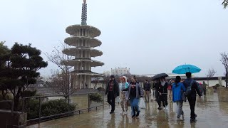 [4K] JAPAN TOWN, SAN FRANCISCO, CALIFORNIA, USA Walking in the rain (January 13, 2024)