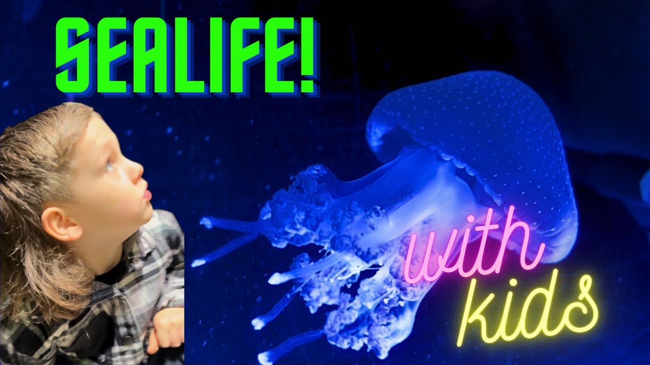 Original Title & Thumbnail