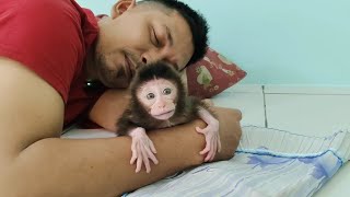 beautiful, white and smooth baby monkey Nomi after recovering from her illness