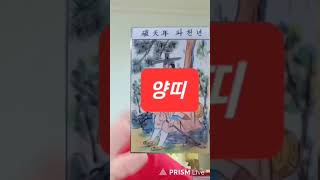 양띠 대박 오늘의운세 2024년4월10일 화요일 재회운/연애운/애정운이 좋은 띠 (원숭이띠/쥐띠/용띠) #오…