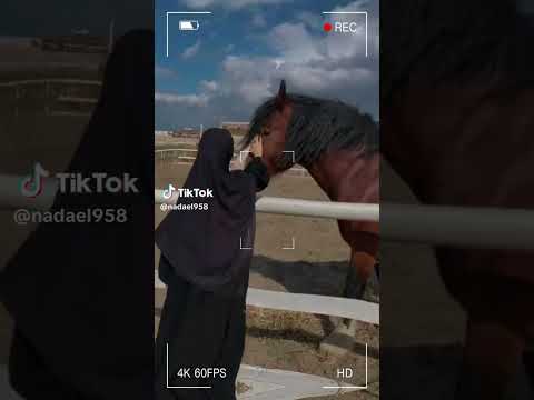 حجابي هو سر سعادتي اشتراك بالقناة اكسبلور حجاب شرعي