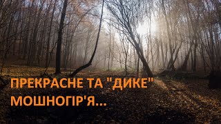 картинка: У пошуках забутих джерел Мошногір'я. 