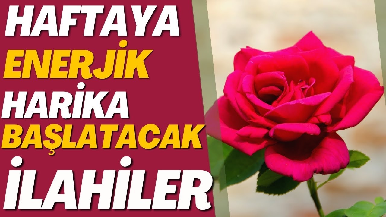 HAFTAYA ENERJİK HARİKA BAŞLATACAK İLAHİLER | MEDİNE YOLUNA DALDIM CAN MUHAMMEDİ ARADIM