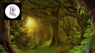 8 Hrs Best Celtic Music: Beautiful Music, Relaxing Music, Flute Music, Meditation Music