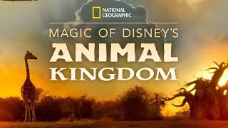 MAGIC OF DISNEY'S ANIMAL KINGDOM | DISNEY PLUS | WATCH WITH ME by Crystal clear 68 views 3 years ago 1 minute, 37 seconds