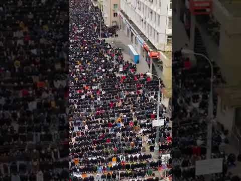 Videó: A származékos termék nélkülözhetetlen piaci eszköz