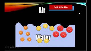 المشاكل البيئية في المزارع السمكية