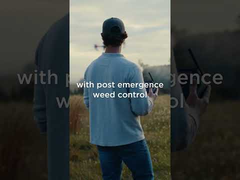 When drones join the ranch crew, cows can enjoy the healthiest grass to graze!
