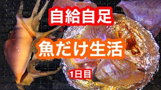 #13「魚だけ生活ダイエット1日目」魚突き初心者　宮古島　竹ヤス130cm