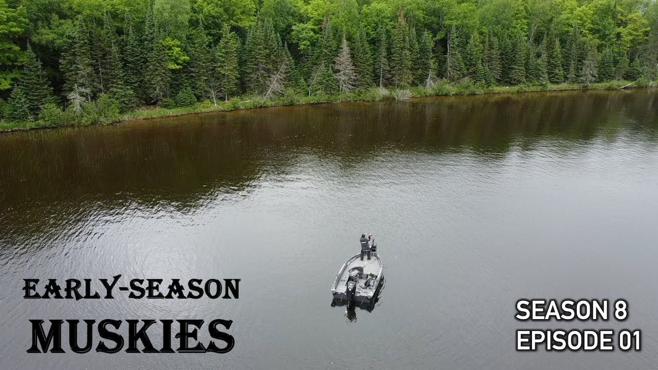 Fishing Dead Reeds for SUPER-SHALLOW Muskies (Insane Wind and Early-Season Cold Front!) S8.E01