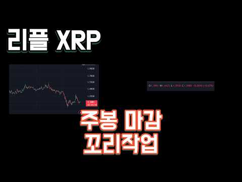 리플 XRP 주봉 마감 꼬리 작업