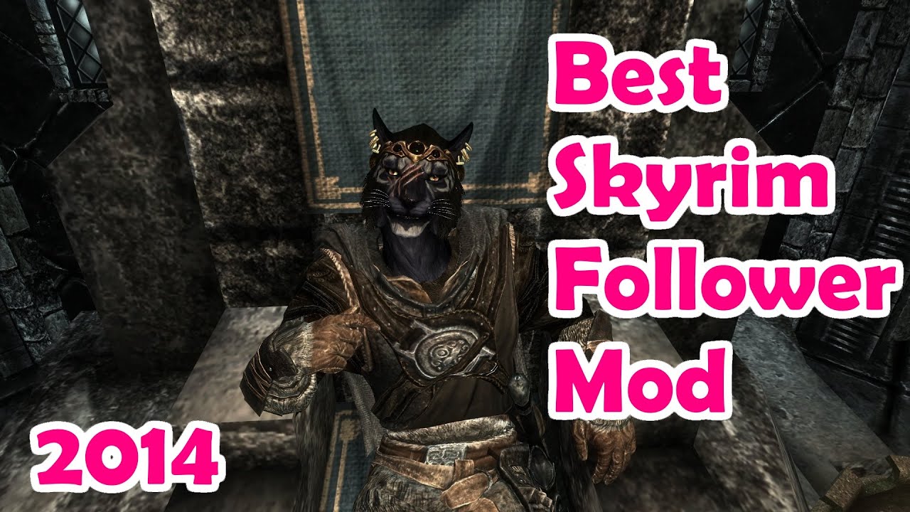 Skyrim: Best Follower Mod - 2014
