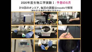 「新型コロナ渦での実習事例：遠隔授業と対面実習のハイブリッドの試み」大山 拓次 山梨大学生命環境学部生命工学科准教授