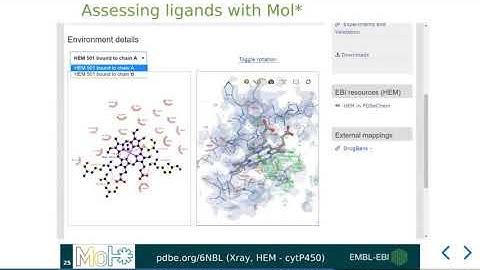 Mol* at PDBe - Viewing ligand binding sites