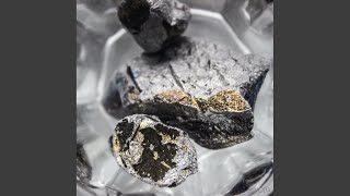 Famous Export (Original Mix) Profile