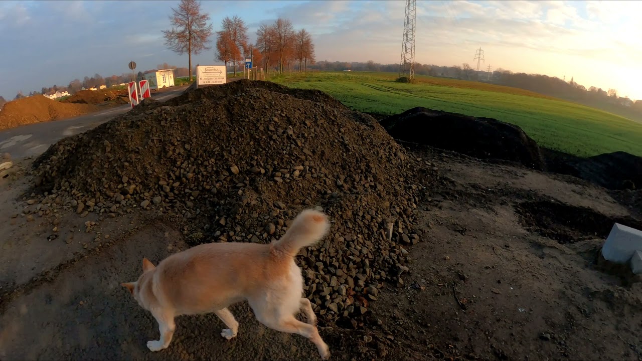 Mülheim Dümpten, 25.11.2021