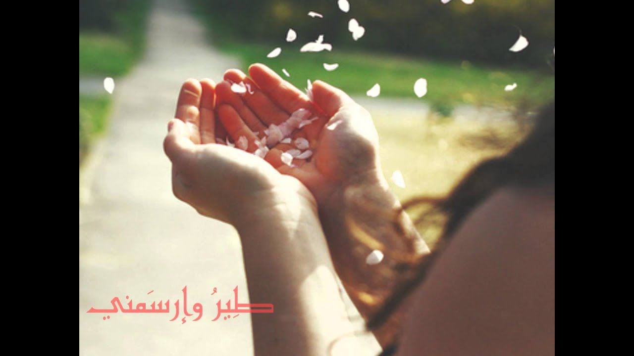 يا جناح الحلم . . ~ مَريمُ