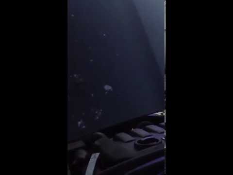 Video: Klepe můj motor?